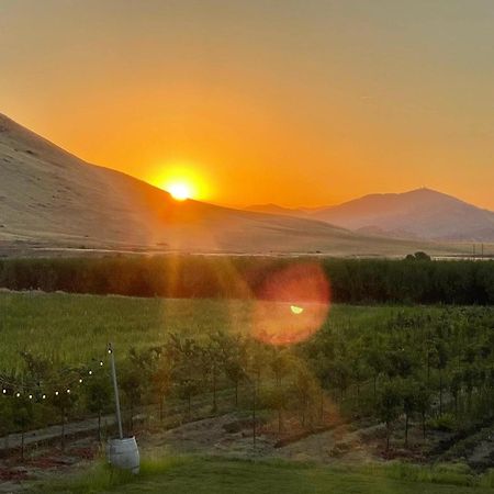 Sequoia View Vineyard Bed & Breakfast Sanger Luaran gambar