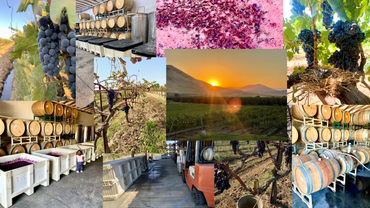Sequoia View Vineyard Bed & Breakfast Sanger Luaran gambar